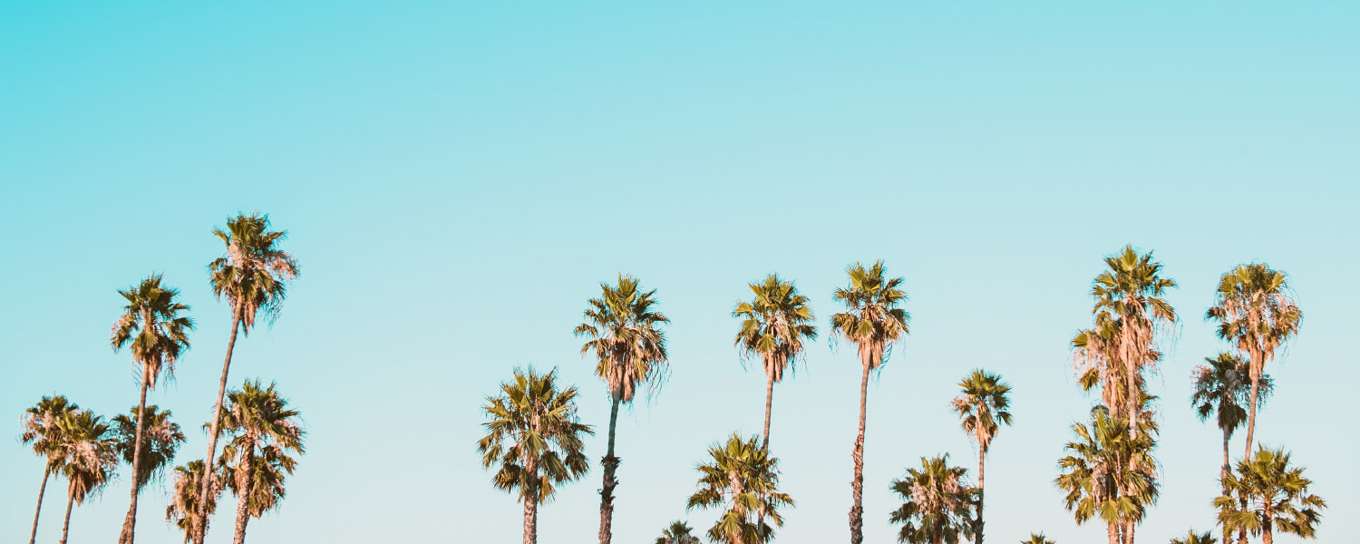 Custom Surfboard Bali Surf Fins Bali Surf Accessories Delivery